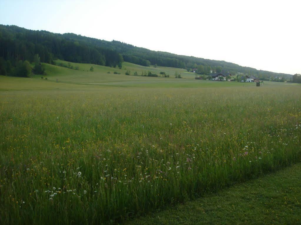 Pension Anna Mondsee Exteriör bild